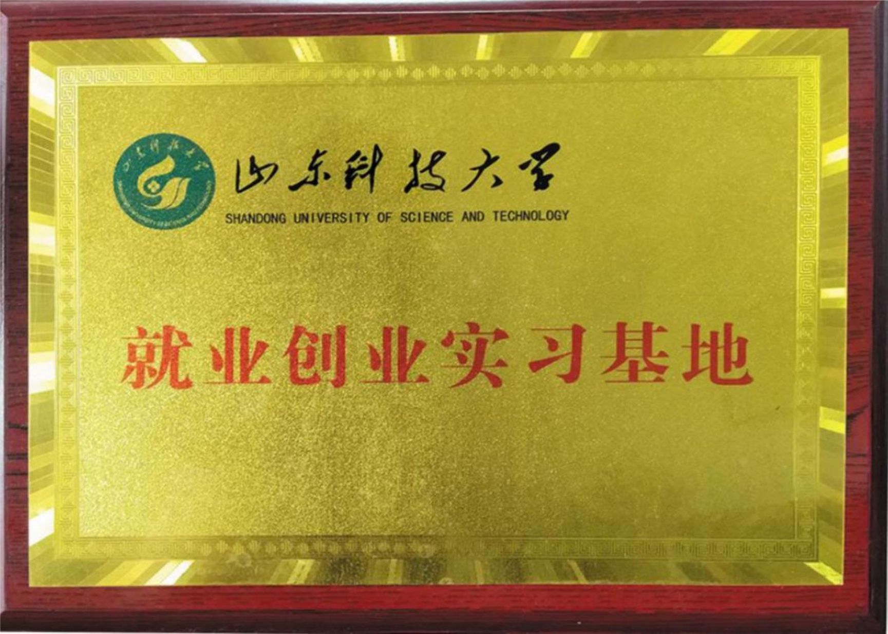 山東科技大學就業(yè)創(chuàng)業(yè)實習基地